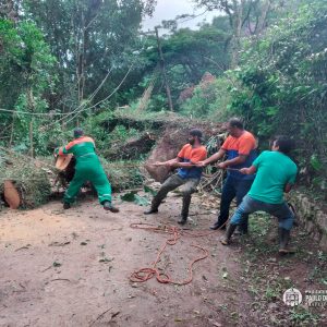 Leia mais sobre o artigo Agentes da Defesa Civil continuam trabalhando na desobstrução de vias, barreiras e retirada de árvores causadas pelas fortes chuvas.