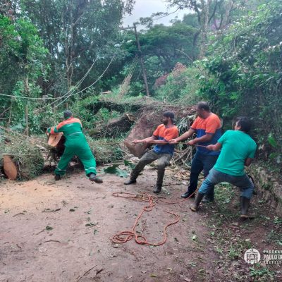Agentes da Defesa Civil continuam trabalhando na desobstrução de vias, barreiras e retirada de árvores causadas pelas fortes chuvas.